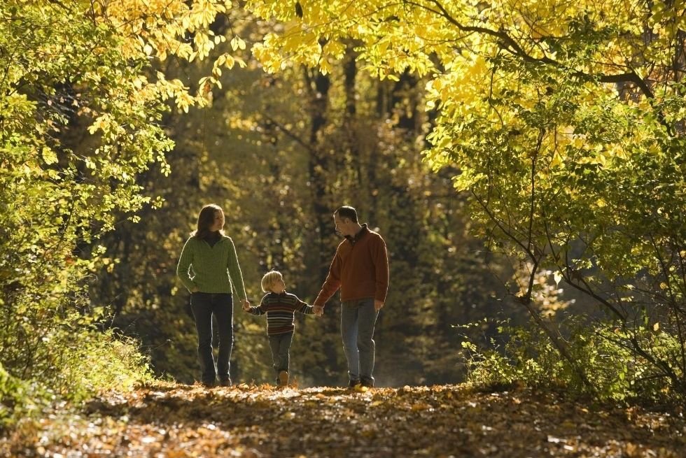 Self-Catering Cornwall: The Best Places to Stay for Couples, Families & Groups